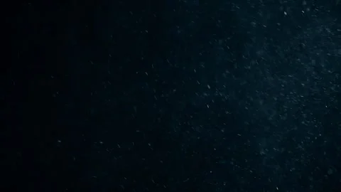 Natural Dust Particles Float On Black Background. Dust In Motion. Stock Footage 247585105