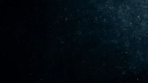 Natural Dust Particles Float On Black Background. Dust In Motion. Stock Footage 247585260
