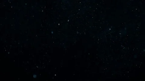 Natural Dust Particles Float On Black Background. Dust In Motion. Stock Footage 247585754
