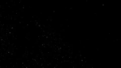 Natural Dust Particles Float On Black Background. Dust In Motion. Stock Footage 301262135