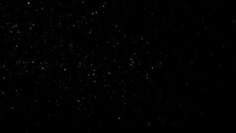 Natural Dust Particles Float On Black Background. Dust In Motion. Stock Footage 301262241