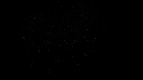 Natural Dust Particles Float On Black Background. Dust In Motion. Stock Footage 301262312