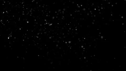 Natural Dust Particles Float On Black Background. Dust In Motion. Stock Footage 301262416