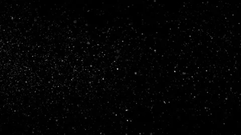 Natural Dust Particles Float On Black Background. Dust In Motion. 스톡 동영상 301262609