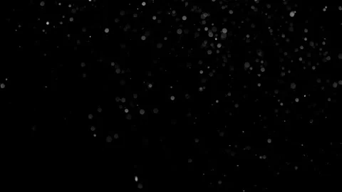 Natural Dust Particles Float On Black Background. Dust In Motion. Stock Footage 301262684