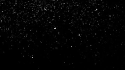 Natural Dust Particles Float On Black Background. Dust In Motion. Stock Footage 301262904