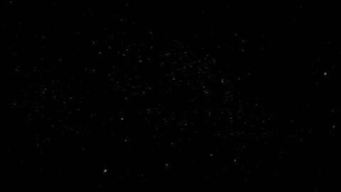 Natural Dust Particles Float On Black Background. Dust In Motion. Stock Footage 301262919