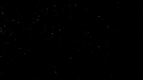 Natural Dust Particles Float On Black Background. Dust In Motion. Stock Footage 301482616
