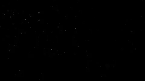Natural Dust Particles Float On Black Background. Dust In Motion. Stock Footage 301482760