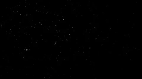 Natural Dust Particles Float On Black Background. Dust In Motion. 스톡 동영상 301482824