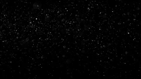 Natural Dust Particles Float On Black Background. Dust In Motion. Stock Footage 301483044
