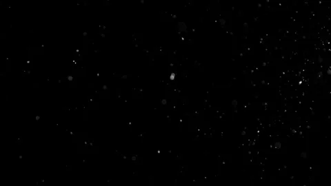 Natural Dust Particles Float On Black Background. Dust In Motion. Stock Footage 301483133