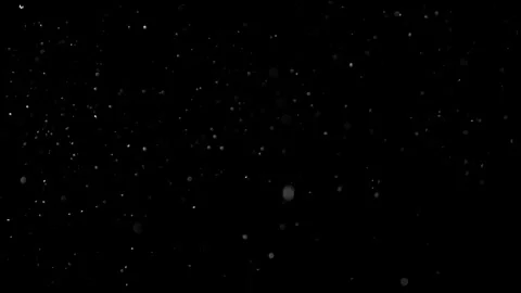 Natural Dust Particles Float On Black Background. Dust In Motion. Stock Footage 301483155