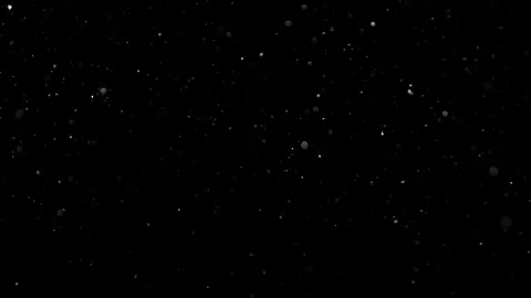 Natural Dust Particles Float On Black Background. Dust In Motion. 스톡 동영상 301483179