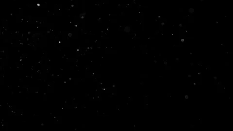 Natural Dust Particles Float On Black Background. Dust In Motion. Stock Footage 301483245