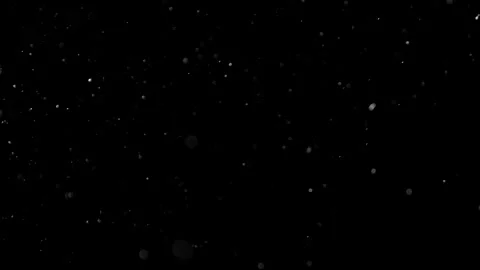 Natural Dust Particles Float On Black Background. Dust In Motion. Stock Footage 301483370