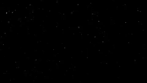 Natural Dust Particles Float On Black Background. Dust In Motion. 스톡 동영상 301483429