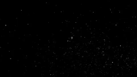 Natural Dust Particles Float On Black Background. Dust In Motion. Stock Footage 301483444