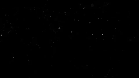 Natural Dust Particles Float On Black Background. Dust In Motion. Stock Footage 301483526