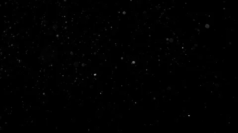 Natural Dust Particles Float On Black Background. Dust In Motion. Stock Footage 301483540