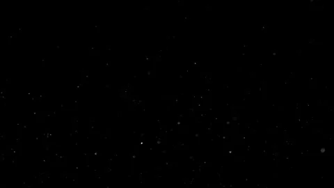 Natural Dust Particles Float On Black Background. Dust In Motion. Stock Footage 301483724