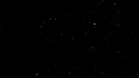 Natural Dust Particles Float On Black Background. Dust In Motion. Stock Footage 301483747