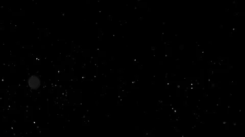 Natural Dust Particles Float On Black Background. Dust In Motion. Stock Footage 301483797