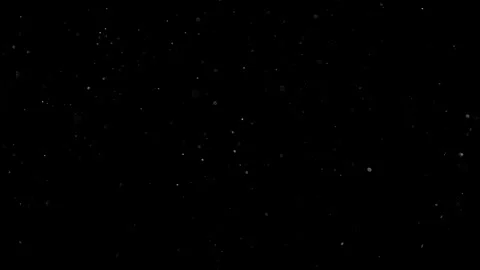 Natural Dust Particles Float On Black Background. Dust In Motion. Stock Footage 301483804