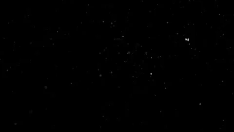 Natural Dust Particles Float On Black Background. Dust In Motion. Stock Footage 301484104