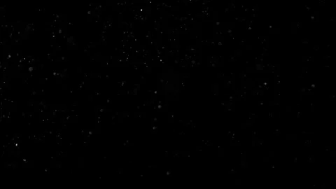 Natural Dust Particles Float On Black Background. Dust In Motion. Stock Footage 301484121