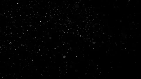 Natural Dust Particles Float On Black Background. Dust In Motion. Stock Footage 302323415