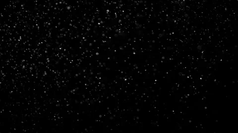 Natural Dust Particles Float On Black Background. Dust In Motion. Stock Footage 302323555