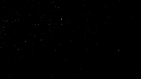 Natural Dust Particles Float On Black Background. Dust In Motion. Stock Footage 302323584