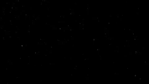 Natural Dust Particles Float On Black Background. Dust In Motion. Stock Footage 302323615