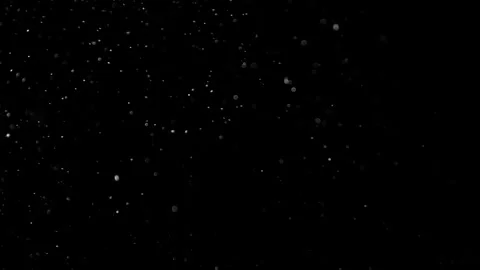 Natural Dust Particles Float On Black Background. Dust In Motion. Stock Footage 302323663