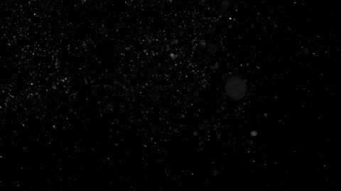 Natural Dust Particles Float On Black Background. Dust In Motion. Stock Footage 302323736