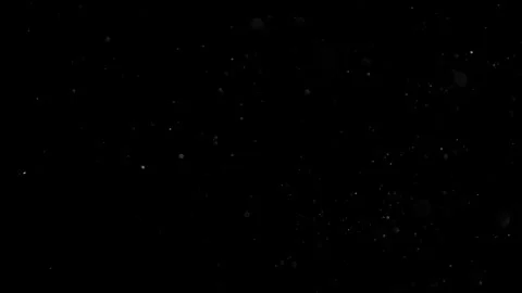 Natural Dust Particles Float On Black Background. Dust In Motion. 스톡 동영상 302323771