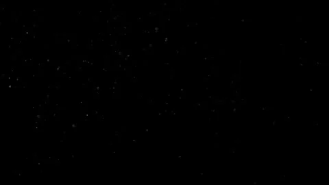 Natural Dust Particles Float On Black Background. Dust In Motion. Stock Footage 302323779