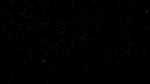 Natural Dust Particles Float On Black Background. Dust In Motion. Stock Footage 302323799