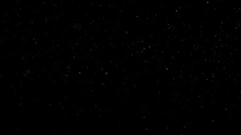 Natural Dust Particles Float On Black Background. Dust In Motion. Stock Footage 302323825