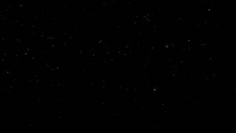 Natural Dust Particles Float On Black Background. Dust In Motion. Stock Footage 302323854