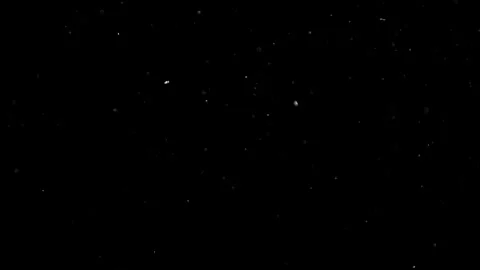 Natural Dust Particles Float On Black Background. Dust In Motion. Stock Footage 302323880