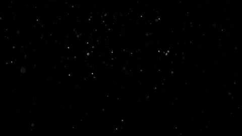 Natural Dust Particles Float On Black Background. Dust In Motion. Stock Footage 302324080
