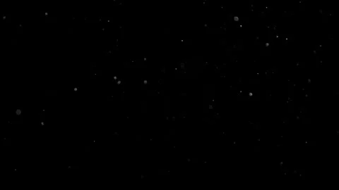 Natural Dust Particles Float On Black Background. Dust In Motion. Stock Footage 302324130