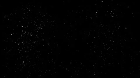 Natural Dust Particles Float On Black Background. Dust In Motion. 스톡 동영상 302324718