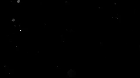 Natural Dust Particles Float On Black Background. Dust In Motion. Stock Footage 305955613