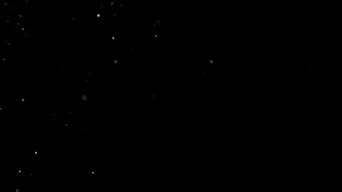 Natural Dust Particles Float On Black Background. Dust In Motion. Stock Footage 305955632