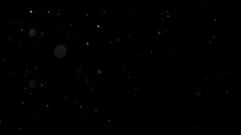 Natural Dust Particles Float On Black Background. Dust In Motion. Stock Footage 305955642