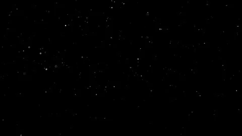 Natural Dust Particles Float On Black Background. Dust In Motion. Stock Footage 305955667
