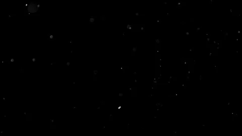 Natural Dust Particles Float On Black Background. Dust In Motion. Stock Footage 305955683